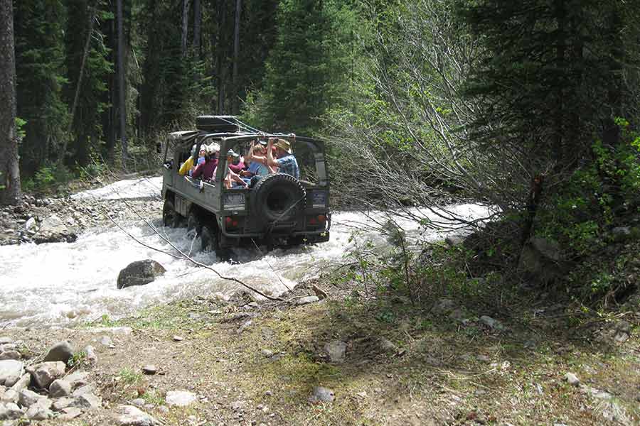 gold mining montana