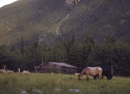 history of montana guest ranch